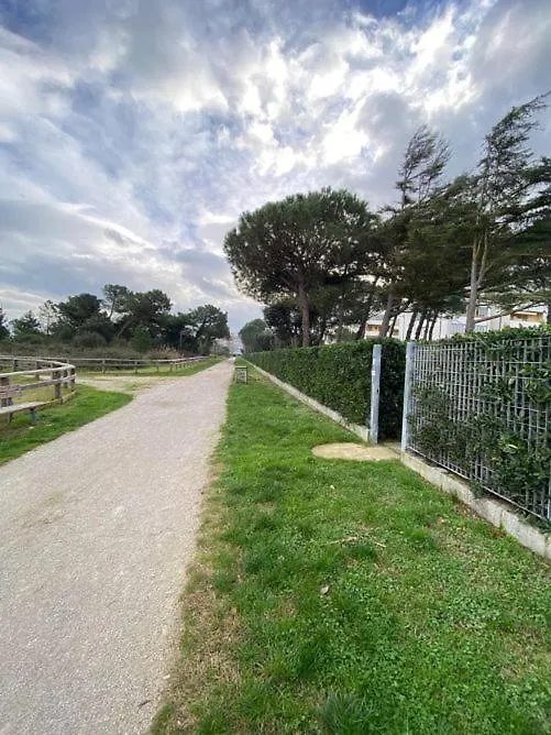 Complesso Mosaico Non Fornisce Prestazioni Di Carattere Alberghiero, Appartamenti Arredati Come Da Foto, Per Il Check In Agenzia Ferro Viale Francesco Petrarca 391 Lido Adriano Ra Italia
